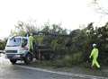 A2 closed as fallen tree blocks way