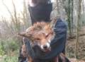 Hunt saboteurs spark social media storm