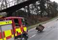 Driver bailed after lorry hit bridge