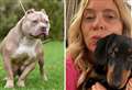 ‘American XL Bully dog killed my puppy – the breed must be banned’