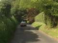 Fallen tree blocks village road