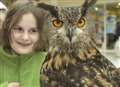 Owls about helping our animal sanctuary?