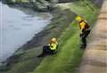 Dramatic sea rescue of dog and man who tried to save him