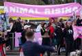 Kent person arrested after Grand National protests