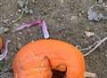 Pumpkins smashed up at PYO event 