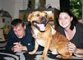 Stabbed dog left tied up happy in loving new home