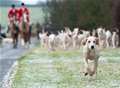 Sevenoaks MP Michael Fallon in favour of legalising fox hunting