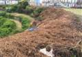 Review after hedge cutting caused 'carnage'