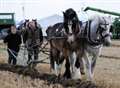 Ploughing Match