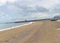 Dead dog dumped on beach