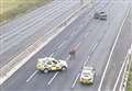 Cow stuck on M25 causes traffic chaos