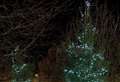 Hospice trees lit up for loved ones