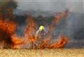 25 firefighters called to corn field