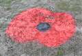 Football club spray paint poppy onto pitch