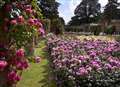 Hever in Bloom