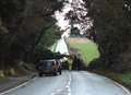 A258 clear following fallen tree chaos