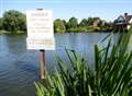 Yobs seen tormenting geese