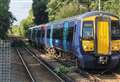 Services suspended after train hits tree