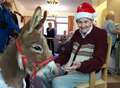 Miniature donkeys visit care home