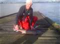 Catch of the day as angler reels in caviar-producing fish