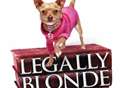 Review: Legally Blonde by Margate Operatic Society