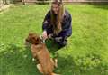 Dog warden's hard work recognised by RSPCA