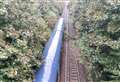 Fallen tree blocks railway line