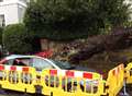 Tree smashes through car in strong winds