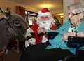  Miniature donkeys visit care home 