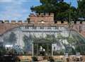 Plant bursts through roof of greenhouse