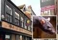 Dead rat and mould found at restaurant shut down for almost a week