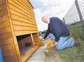 Allotments damaged as vandals go on rampage 