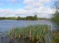 Lake closed after killer algae found