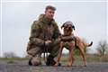 Pictures show military dogs wearing new equipment after £3.1m MoD contract