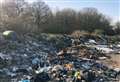 Fly-tipping clean up delayed due to 'nesting birds'