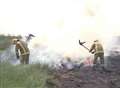 Arsonists destroy wildlife on mudflats