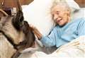 Reindeer in flying visit to 95-year-old's bedside