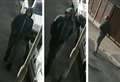 Images released after pensioner robbed