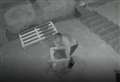 Birdbath burglar caught on CCTV at cat rescue