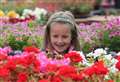 Kent Garden Show ready for full bloom