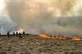 Wildlife returns to moorland scorched by fire a year ago