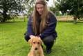 'Stop dumping your dogs' plea as abandonment soars