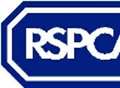 RSPCA appeal after fox suffers horrific death