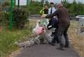 Police swoop to catch runaway swans in Hot Fuzz style rescue