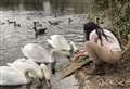 'Careless anglers' blamed for bird's fishing line death