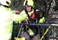 Dog rescued after cliff fall drama