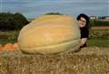 'Pretty big' 28 stone pumpkin grown at Kent farm