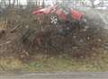 Sports car lands in tree on M2