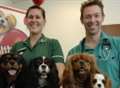 Owners urged to have a heart for their pets