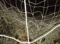 RSPCA warns over netting